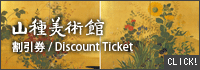 Discount ticket